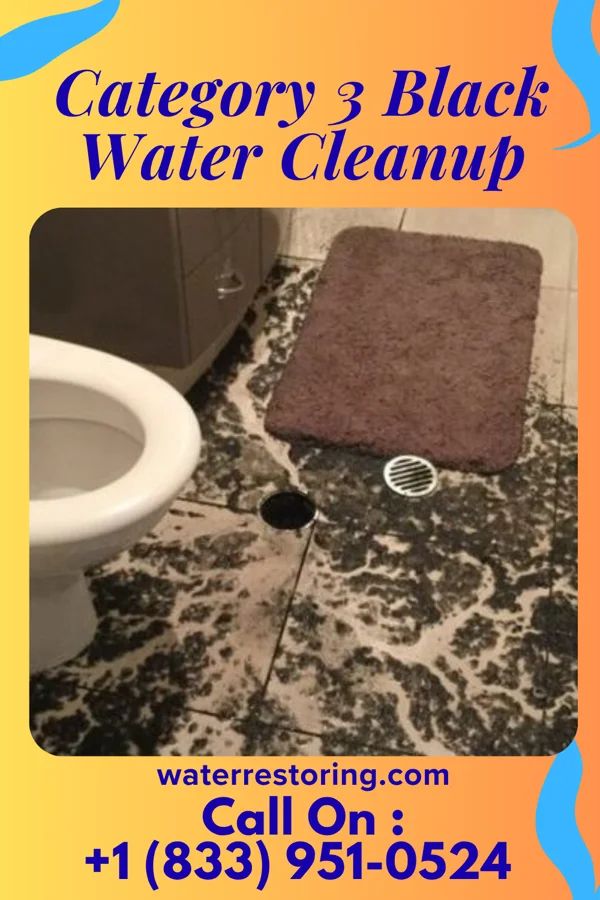 Category 3 Black Water Cleanup in Pickering, MO