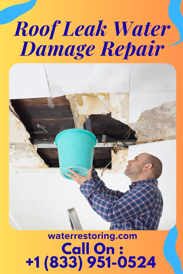 Roof Leak Water Damage Repair in Pickering, MO